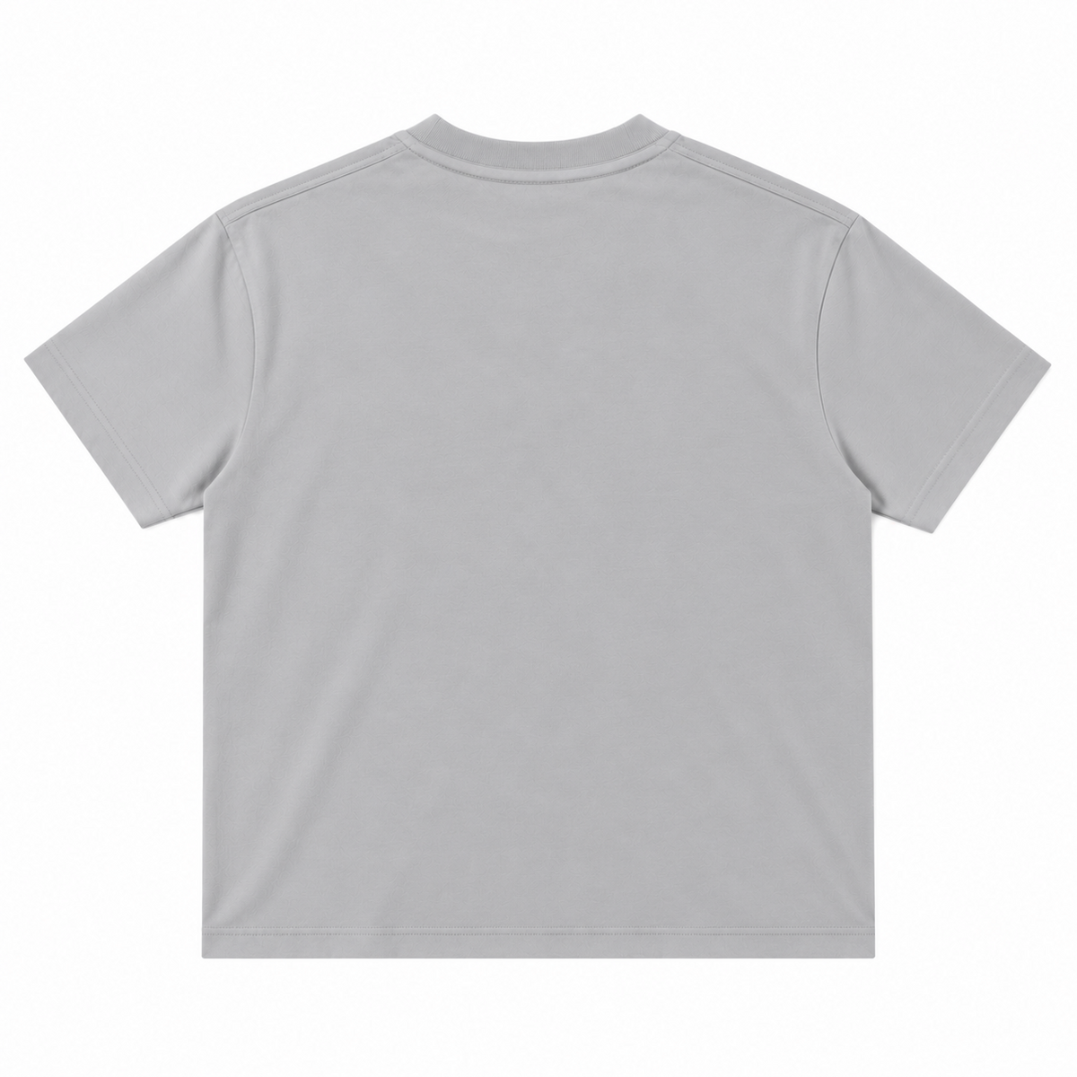 US401 OG TEE LIGHT GREY